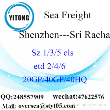 Shenzhen Port Sea Freight Versand nach Sri Racha